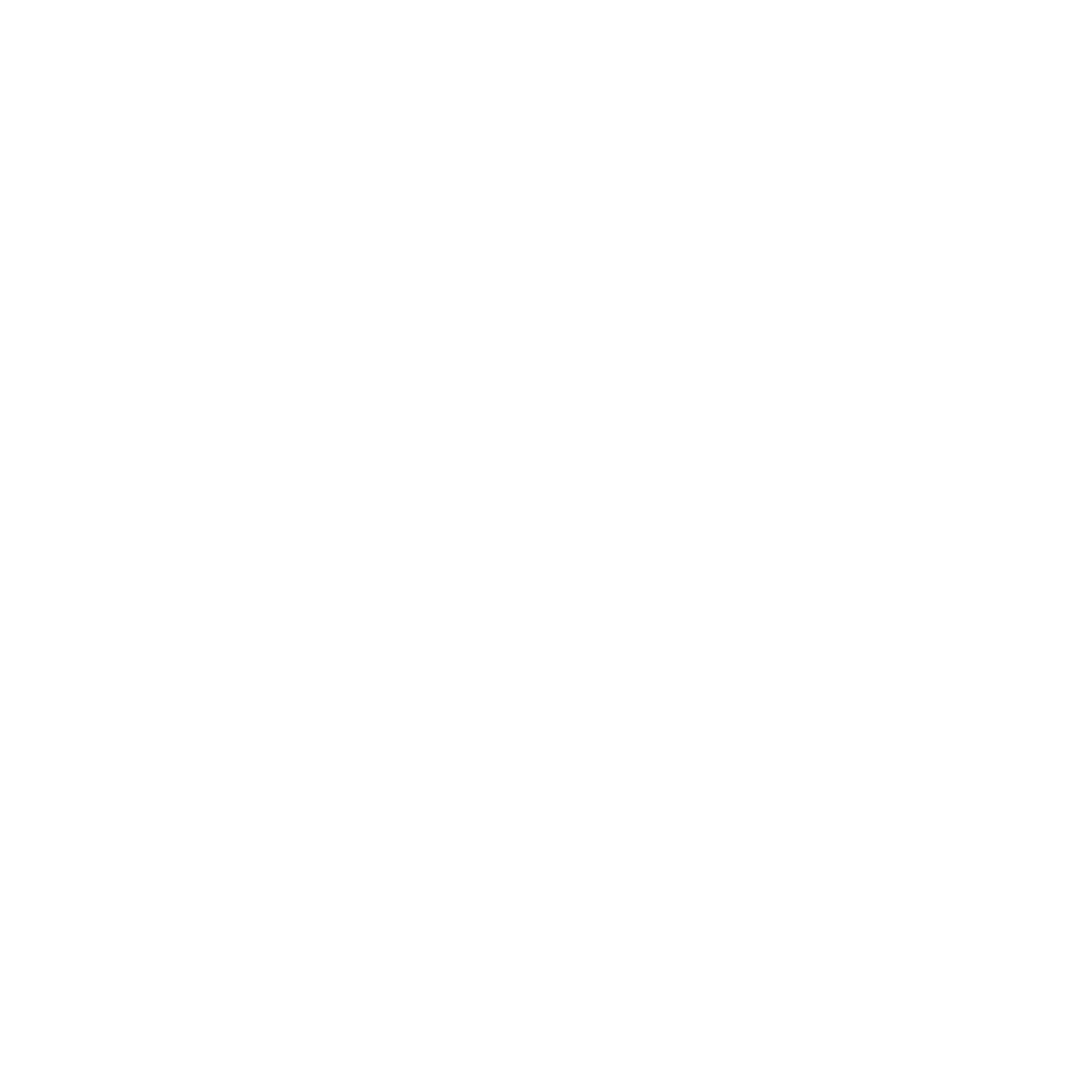 RVZN MEDIA